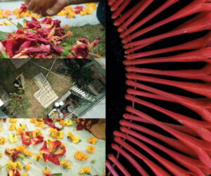 Angna Mein at West Space