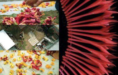 Angna Mein at West Space