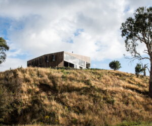 'Windbreak' in issue 86 - Photographer: Anjie Blair