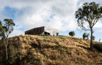 'Windbreak' in issue 86 - Photographer: Anjie Blair