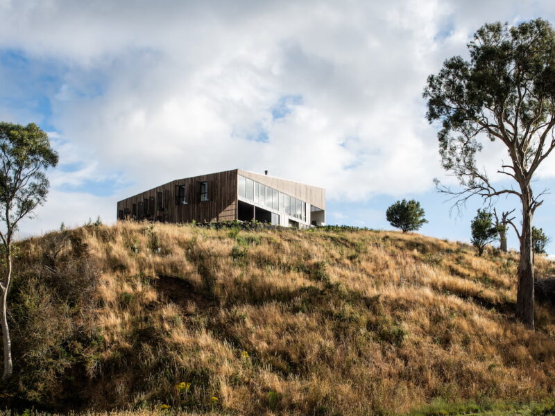 'Windbreak' in issue 86 - Photographer: Anjie Blair