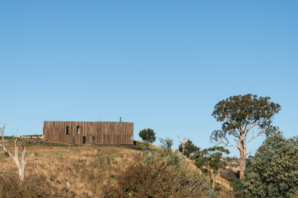 'Windbreak' in issue 86 - Photographer: Anjie Blair
