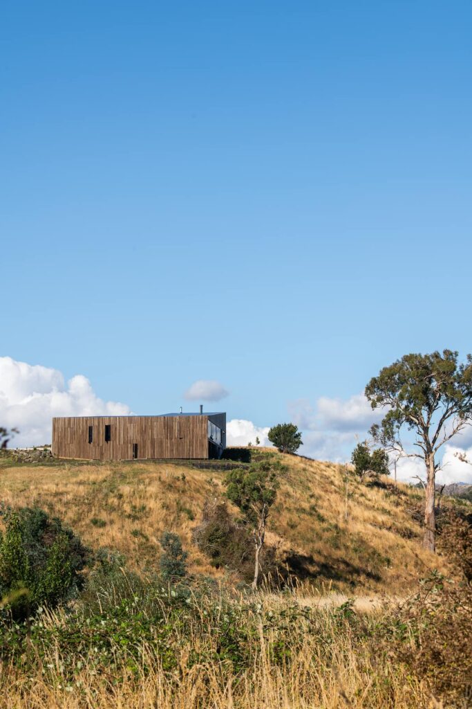 'Windbreak' in issue 86 - Photographer: Anjie Blair