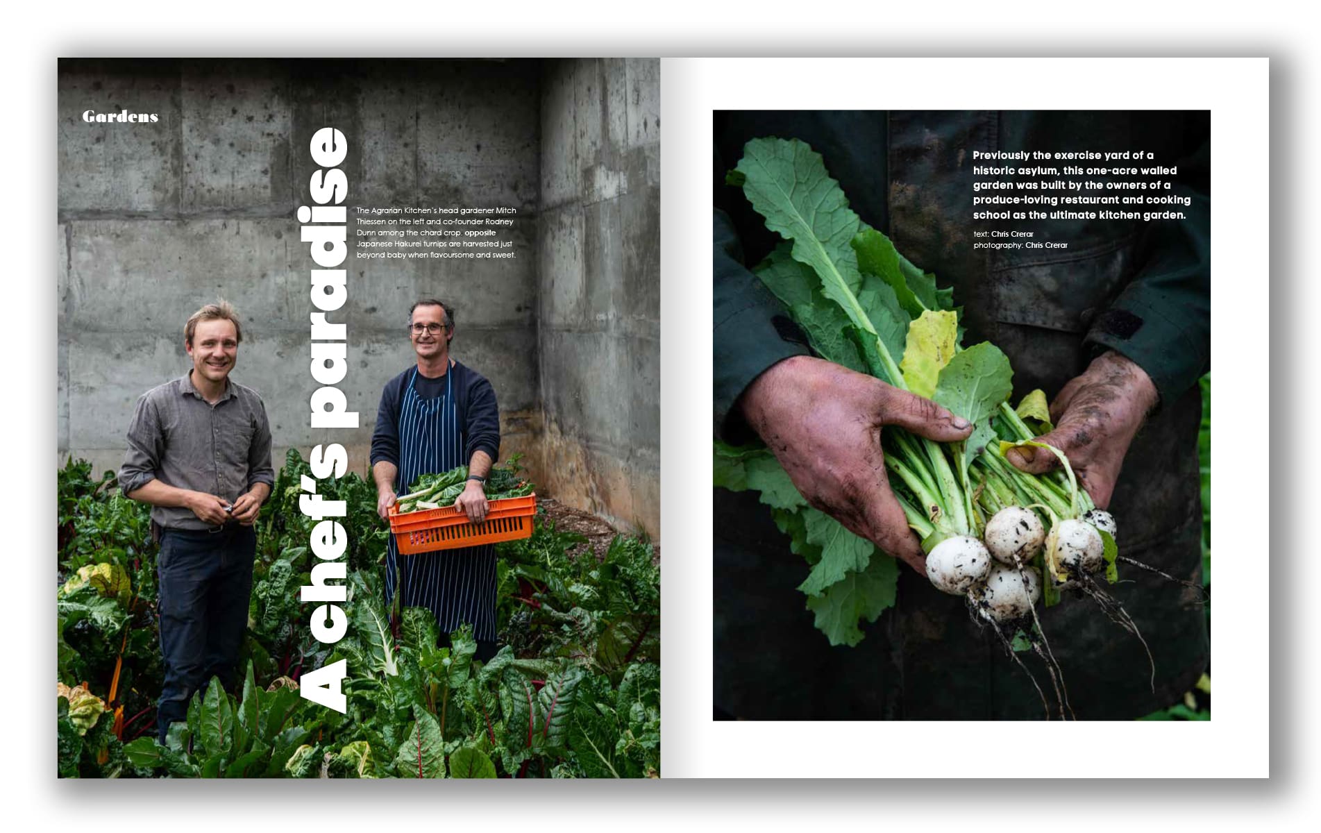 green magazine issue 88 - garden - a chef's paradise