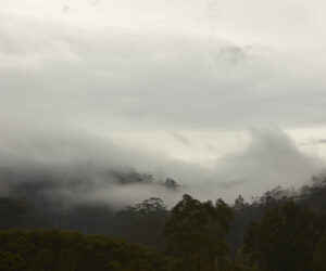 Bundanon. Photo by Zan Wimberley