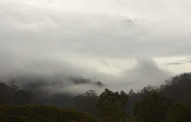 Bundanon. Photo by Zan Wimberley