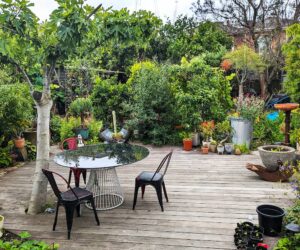 open gardens victoria david's garden
