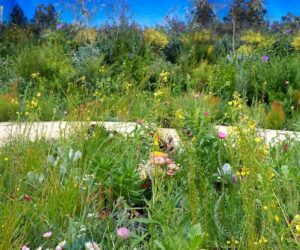 Harden by Hassell, Super Bloom and the University of Melbourne.