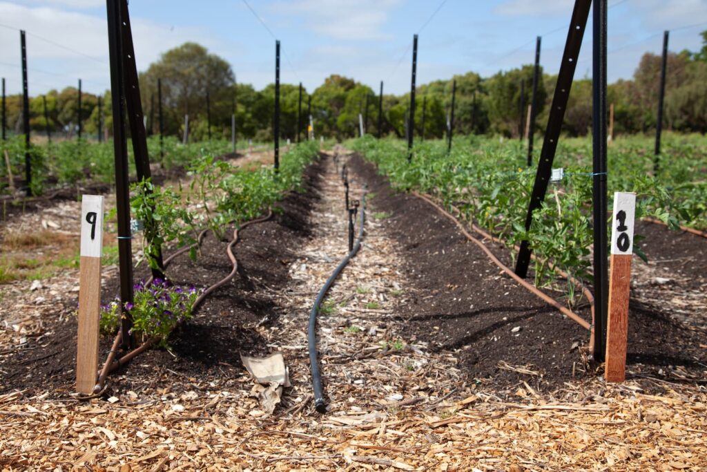 Green magazine issue 90 - Food for Thought. Photographer Luke Adams