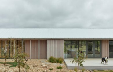 Green magazine issue 91 - pasture of plenty Photo by Derek Swalwell