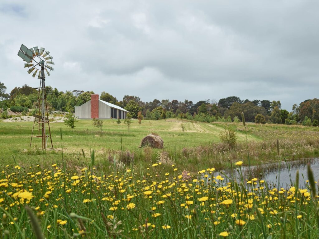 Green magazine issue 91 - pasture of plenty Photo by Derek Swalwell