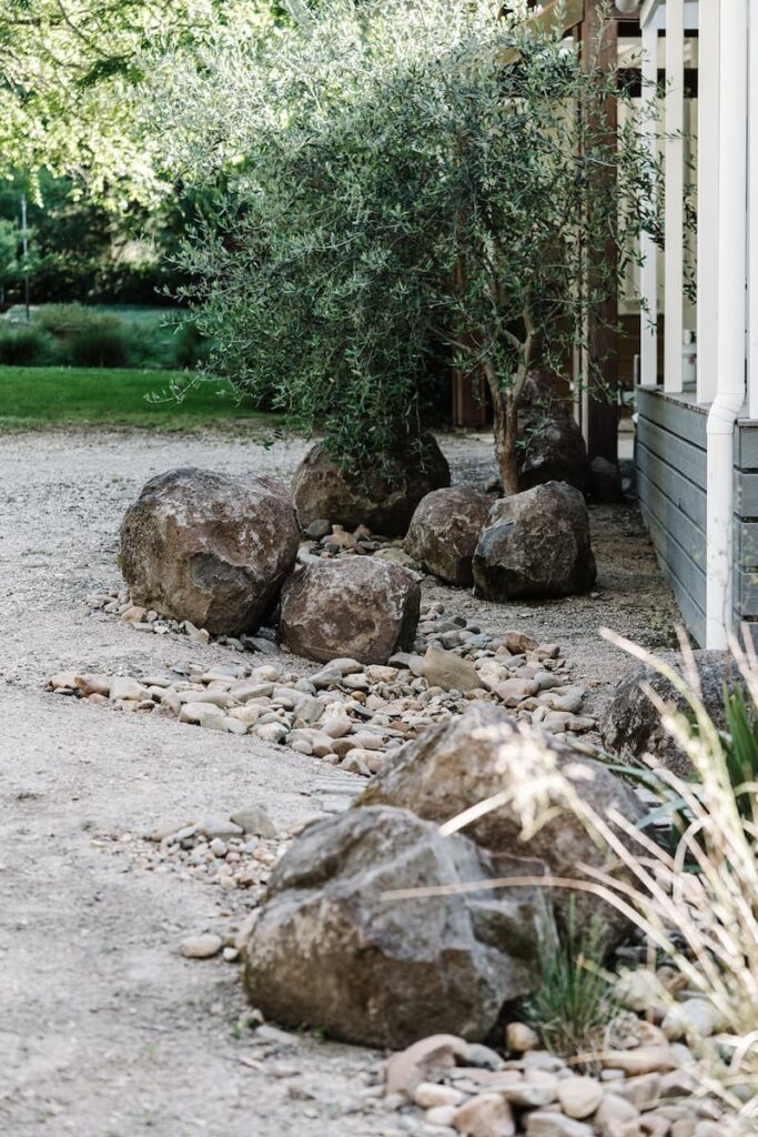 green magazine issue 78 - Experimental Nature. Photography by Marnie Hawson