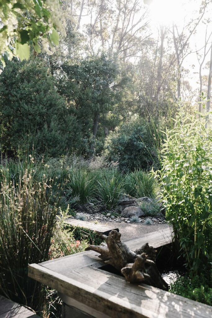 green magazine issue 78 - Experimental Nature. Photography by Marnie Hawson