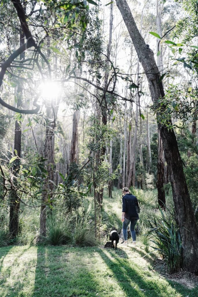 green magazine issue 78 - Experimental Nature. Photography by Marnie Hawson
