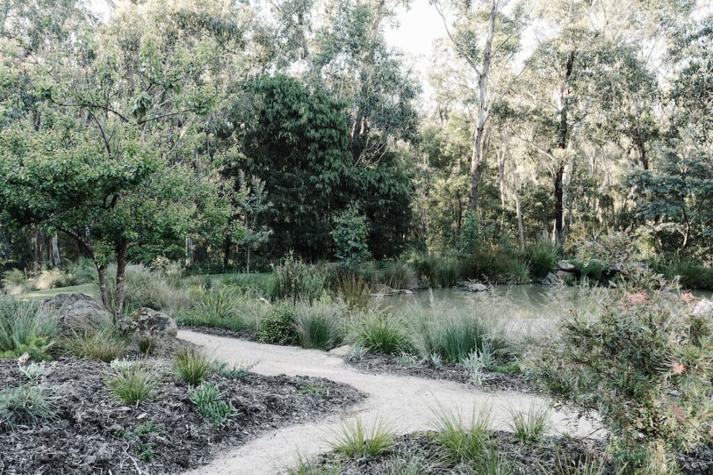 green magazine issue 78 - Experimental Nature. Photography by Marnie Hawson