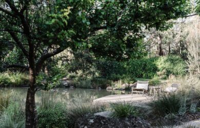 green magazine issue 78 - Experimental Nature. Photography by Marnie Hawson