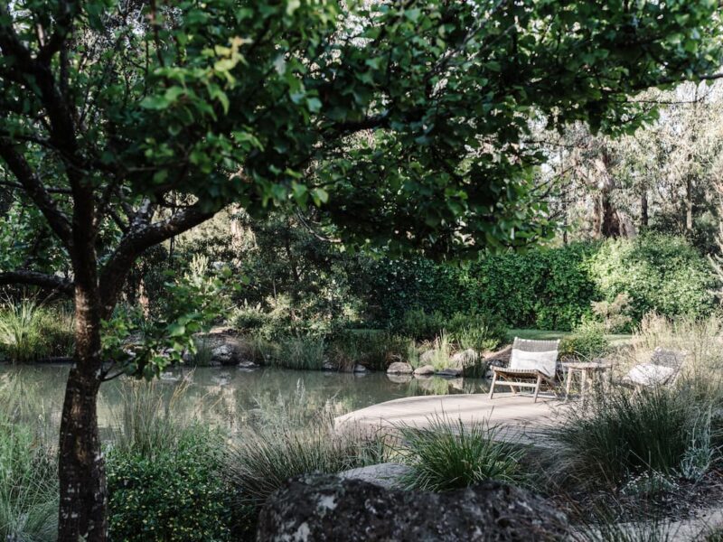 green magazine issue 78 - Experimental Nature. Photography by Marnie Hawson