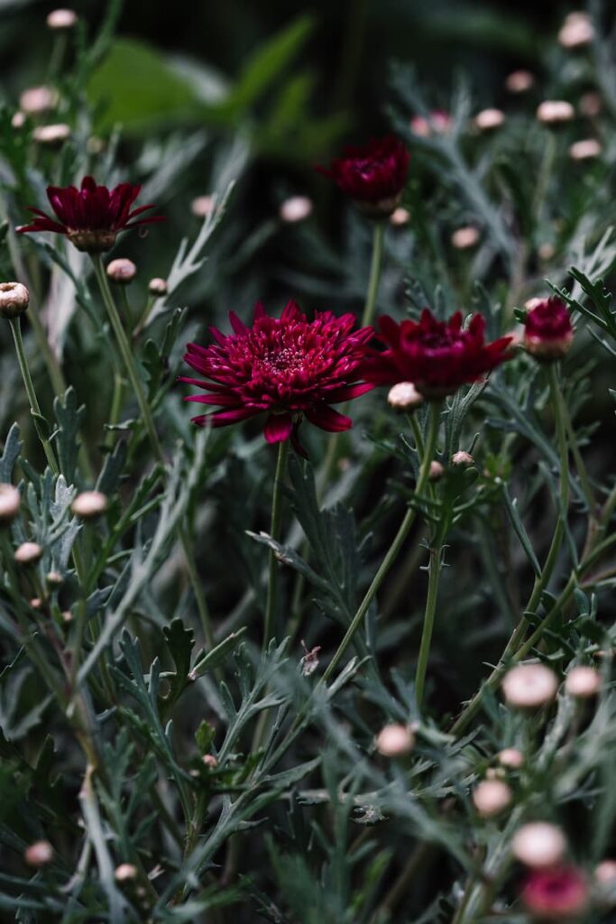 green magazine issue 78 - Experimental Nature. Photography by Marnie Hawson