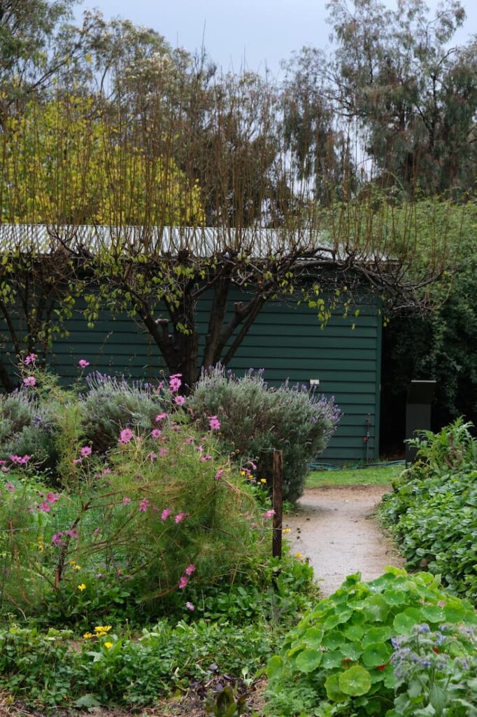 green magazine issue 92 - Wandering Paths Photographer: Tamsin O’Neill