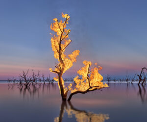 BLAZE #9, Lake Pamamaroo, Menindee Arc One