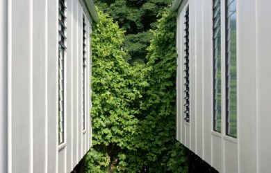 green magazine issue 81 - Paired Photographer: TobyScott