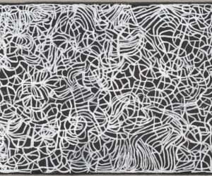 Emily Kam Kngwarray Anwerlarr anganenty (Big yam Dreaming) 1995 synthetic polymer paint on canvas 291.1 x 801.8 cm National Gallery of Victoria, Melbourne Presented through The Art Foundation of Victoria by Donald and Janet Holt and family, Governors, 1995 1995.709 © Emily Kam Kngwarray/Licensed by Copyright Agency, Australia