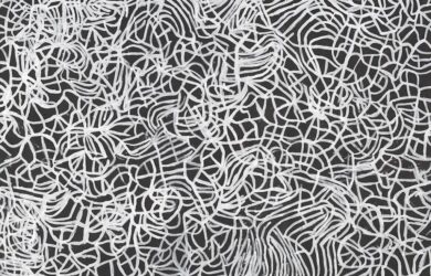 Emily Kam Kngwarray Anwerlarr anganenty (Big yam Dreaming) 1995 synthetic polymer paint on canvas 291.1 x 801.8 cm National Gallery of Victoria, Melbourne Presented through The Art Foundation of Victoria by Donald and Janet Holt and family, Governors, 1995 1995.709 © Emily Kam Kngwarray/Licensed by Copyright Agency, Australia