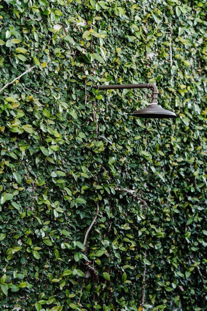 green magazine issue 93 - Departure Lounge. Photographer Marnie Hawson