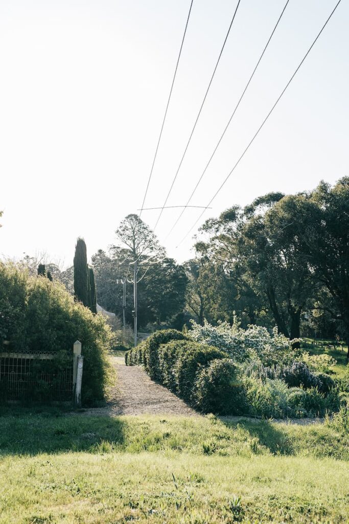 Green magazine issue 77 - Marnie Hawson