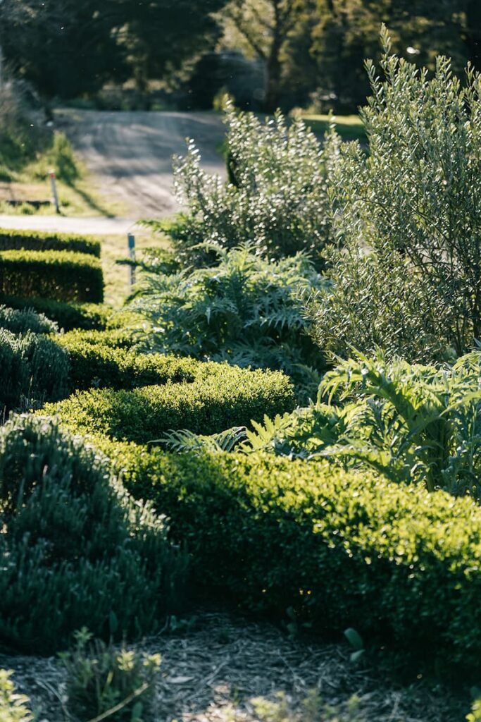 Green magazine issue 77 - Marnie Hawson
