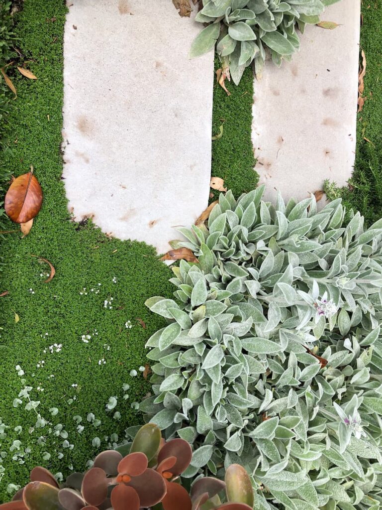 Green magazine issue 95 - Clinton Weaver and Emily Simpson