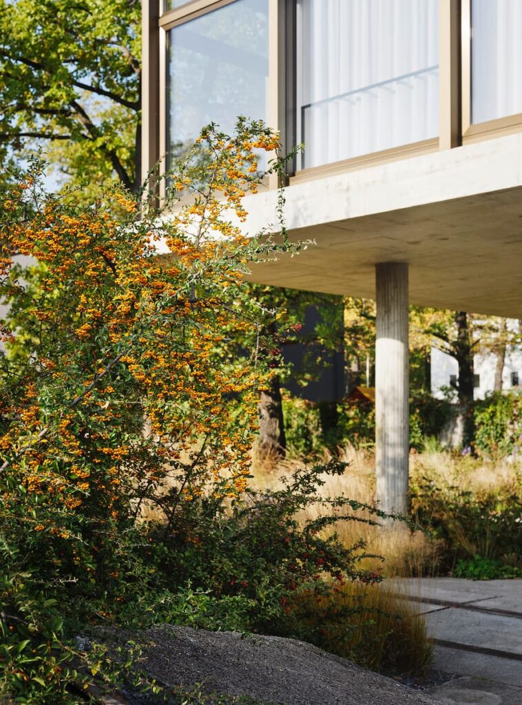 Green magazine issue 79 - Andreas Gehrke (NOSHE Photography)