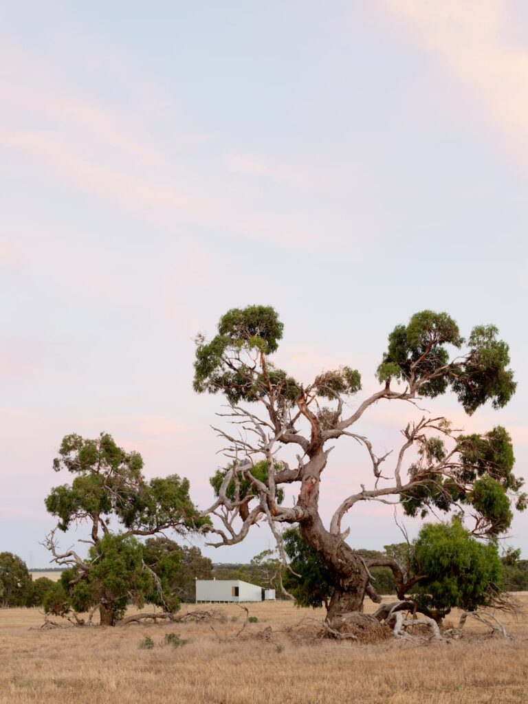 Green magazine issue 95 - Thurston Empson
