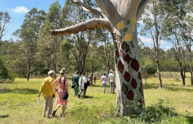 Western Sydney Parklands. Artists Shay Tobin and Djon Mundine.