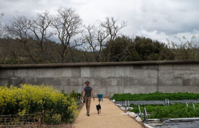 green magazine issue 88 A Chef's Garden. Photo: Chris Crerar