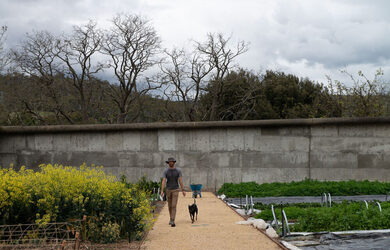 green magazine issue 88 A Chef's Garden. Photo: Chris Crerar
