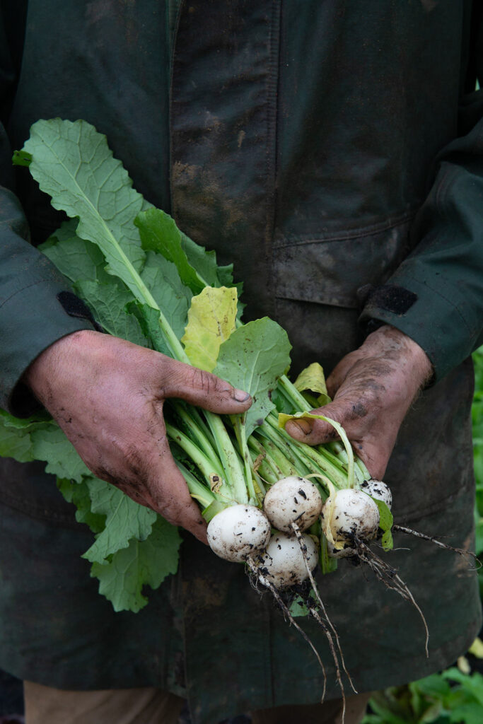 green magazine issue 88 A Chef's Garden. Photo: Chris Crerar