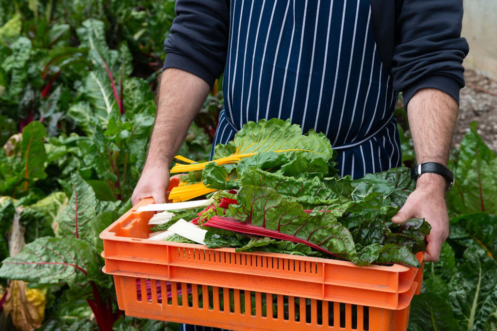 green magazine issue 88 A Chef's Garden. Photo: Chris Crerar