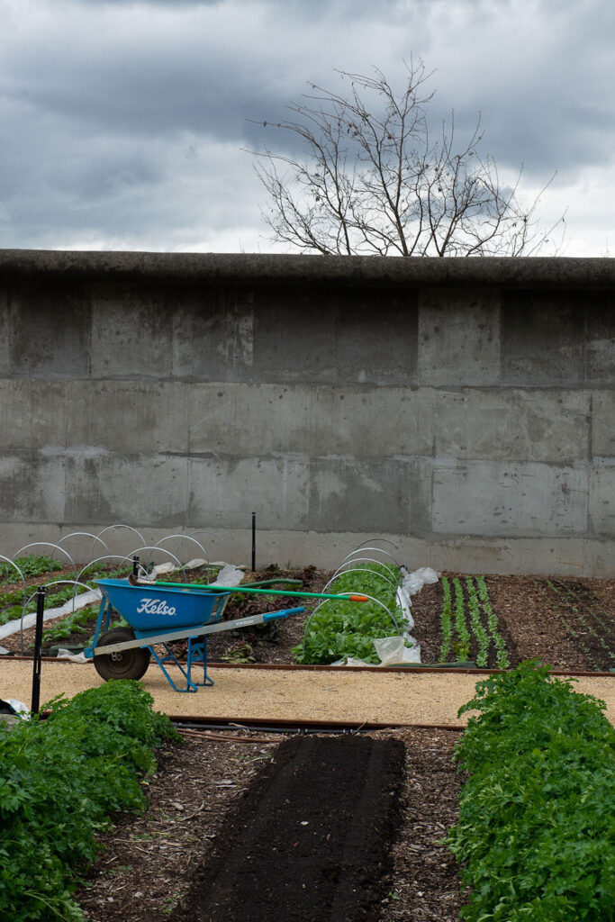 green magazine issue 88 A Chef's Garden. Photo: Chris Crerar
