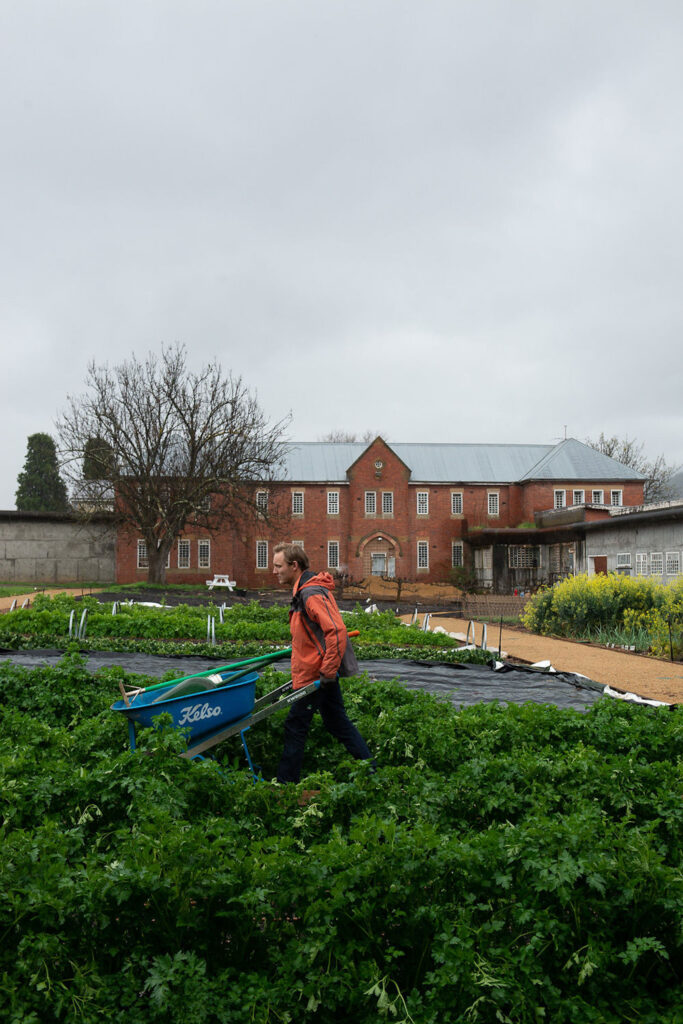green magazine issue 88 A Chef's Garden. Photo: Chris Crerar