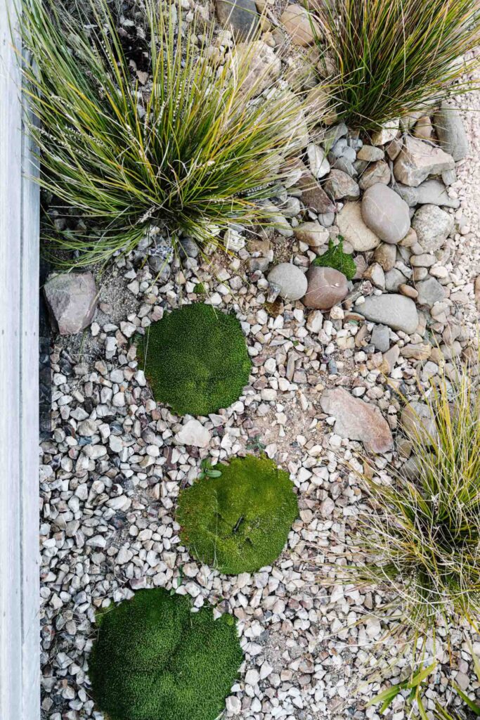 green magazine issue 84 - The Ungarden - Photographer: Marnie Hawson