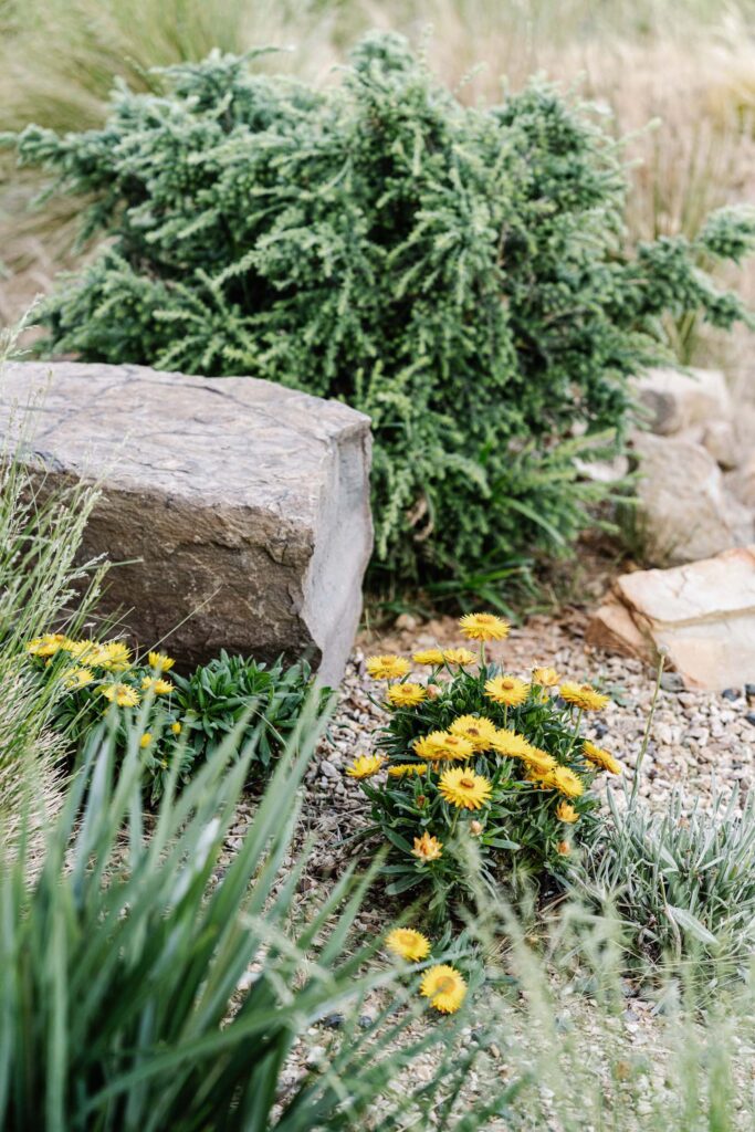 green magazine issue 84 - The Ungarden - Photographer: Marnie Hawson