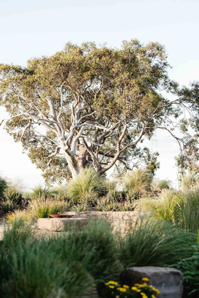 green magazine issue 84 - The Ungarden - Photographer: Marnie Hawson