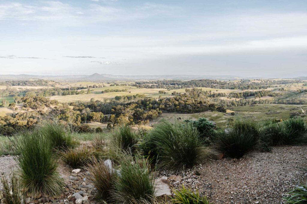 green magazine issue 84 - The Ungarden - Photographer: Marnie Hawson