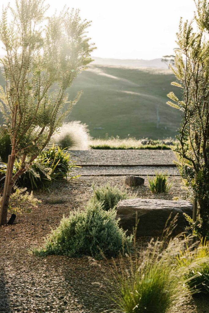 green magazine issue 84 - The Ungarden - Photographer: Marnie Hawson