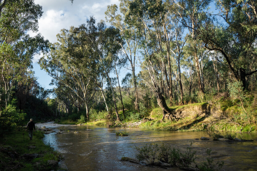 Remaking the Land article in green magazine issue 86. Photos: Ellie Keft