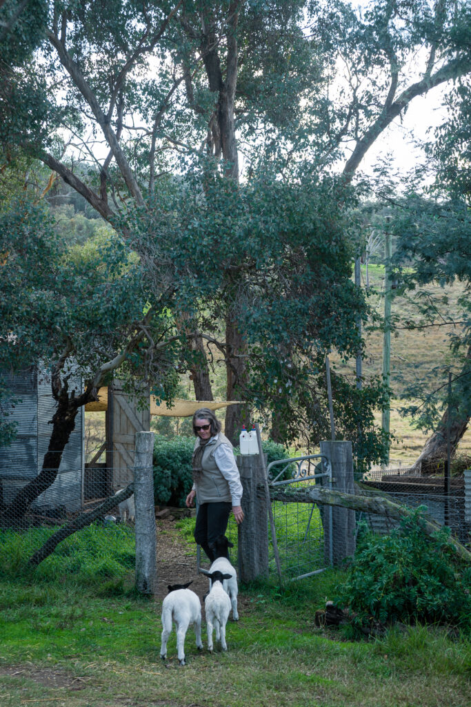Remaking the Land article in green magazine issue 86. Photos: Ellie Keft