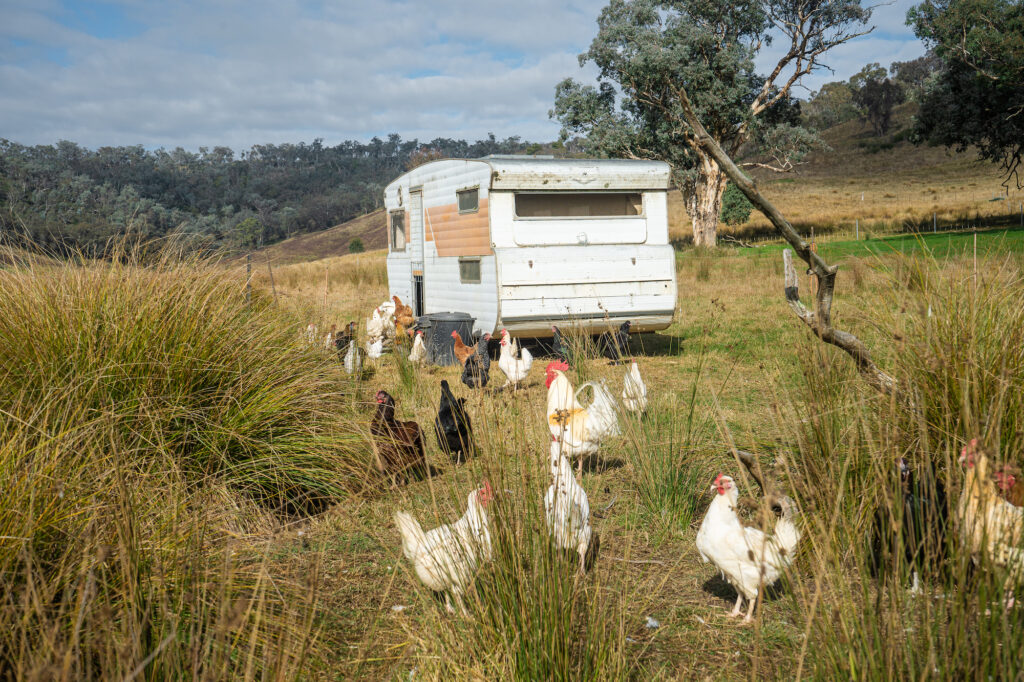 Remaking the Land article in green magazine issue 86. Photos: Ellie Keft