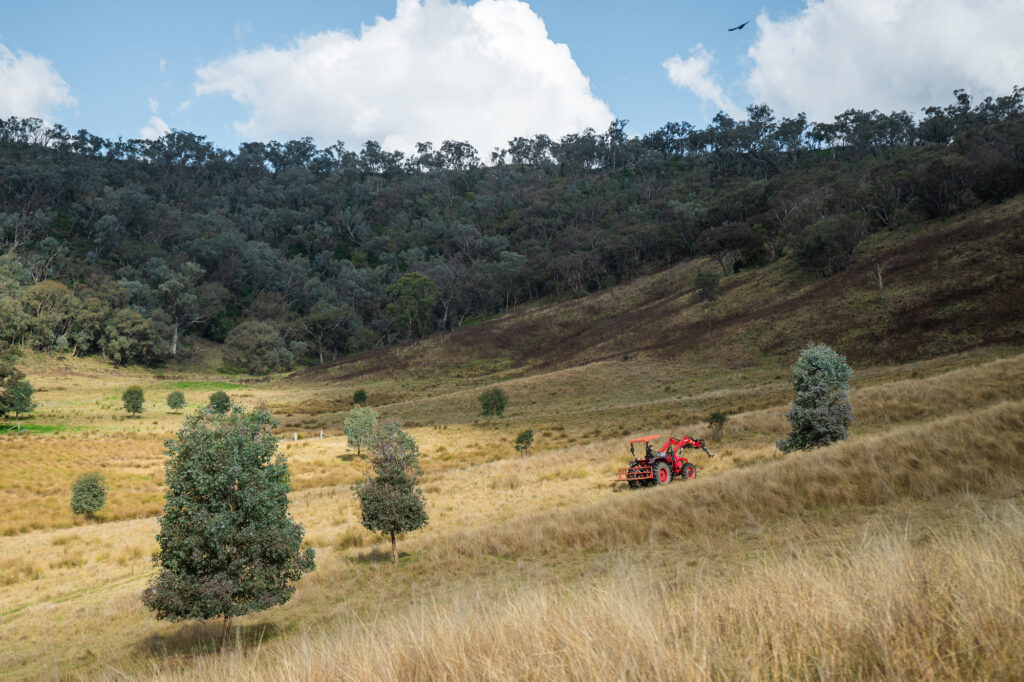 Remaking the Land article in green magazine issue 86. Photos: Ellie Keft