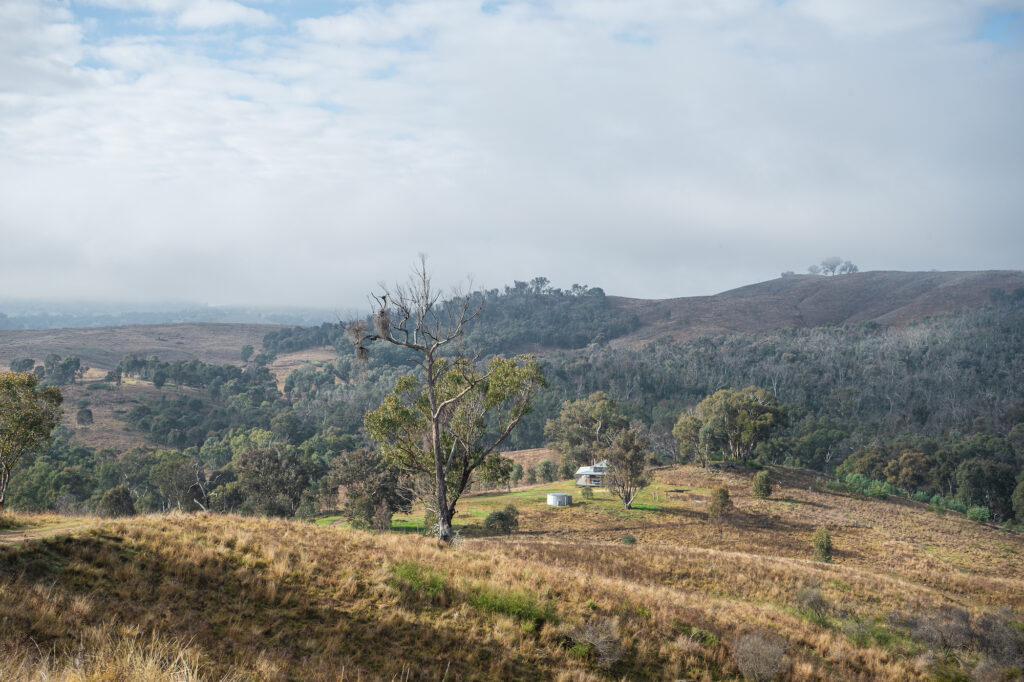 Remaking the Land article in green magazine issue 86. Photos: Ellie Keft